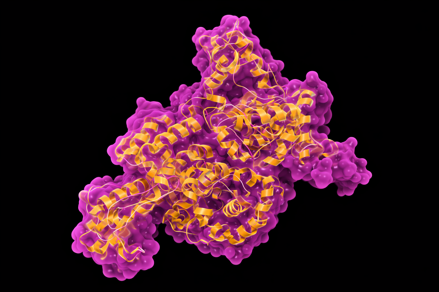 EPB-101 AI-engineered chimeric endolysin 3D protein structure showing surface topology, catalytic active domain and cell-wall binding domain targeting Staphylococcus pseudintermedius